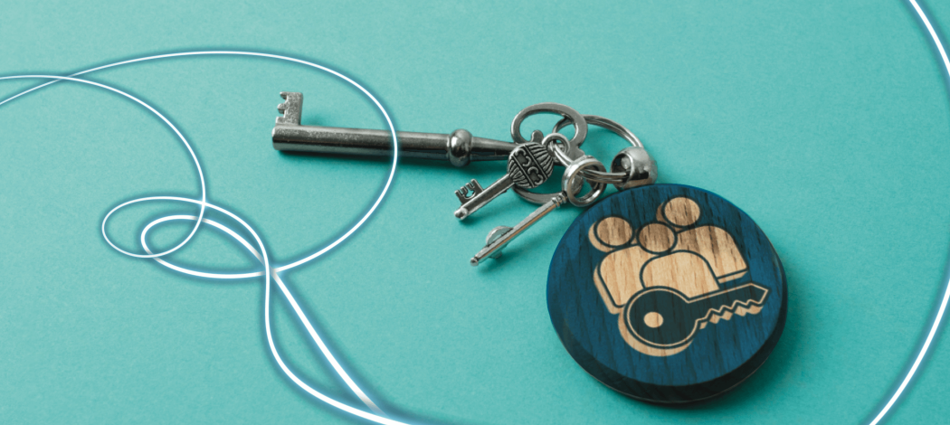 How a B2B Distributor Managed Product Attribute Visibility